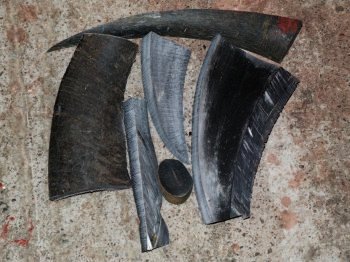 buffalo horn craft pack
