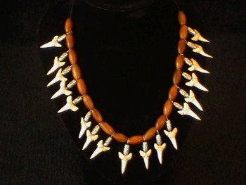 18 shark tooth necklace