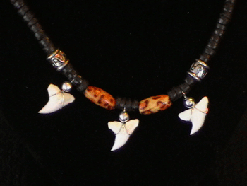 3 sharks tooth necklace