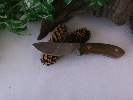 walnut damascus etched knife