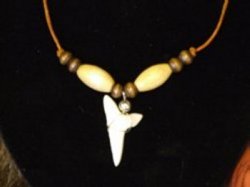large single sharks tooth necklace brown